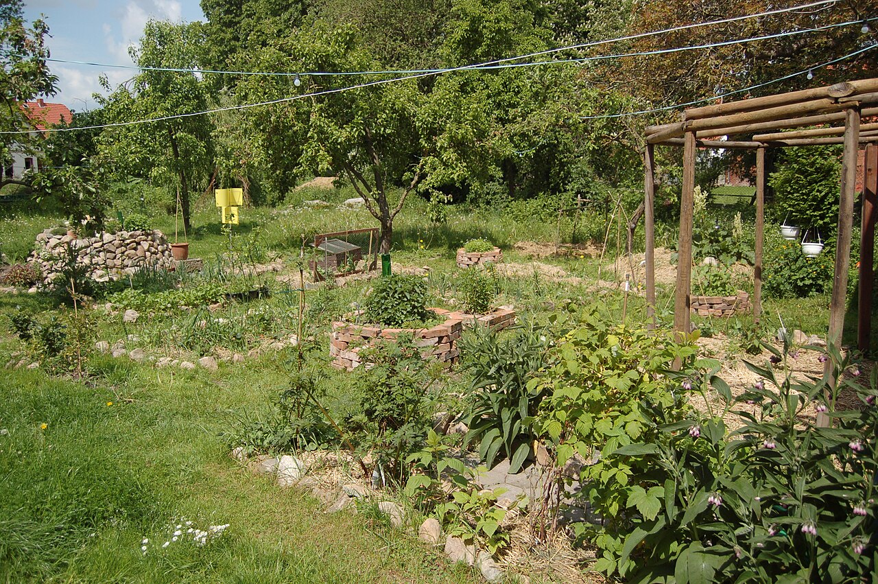 Trees, planted beds and paths in a permaculture garden.